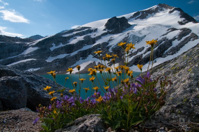 favourite_hike,_thunderwater_lakes_with_wildflowers_by_lyle_grisedale