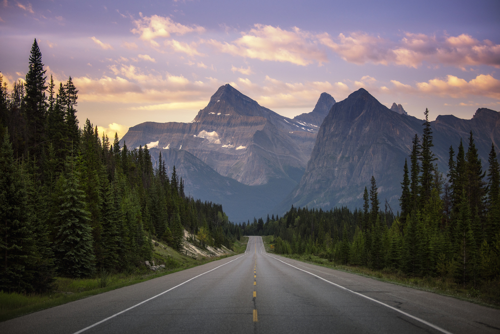 Icefields Parkway | Sarah Hatton