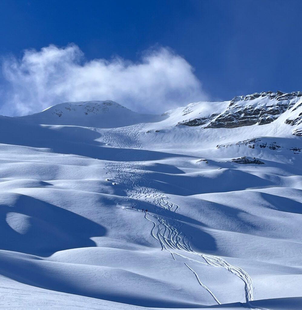 A wide, untouched snowfield stretches across a high alpine slope, marked only by a few winding ski tracks leading down from the upper ridges.