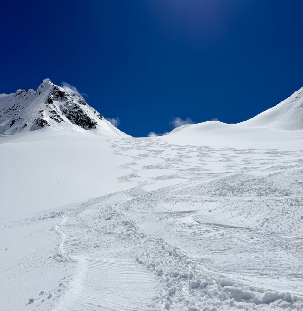 A wide, untouched snowfield stretches down a mountain slope, carved with graceful, looping ski tracks. In the distance, jagged peaks rise against a deep blue sky.